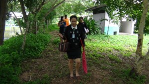 2 จานโนนสูง (2)